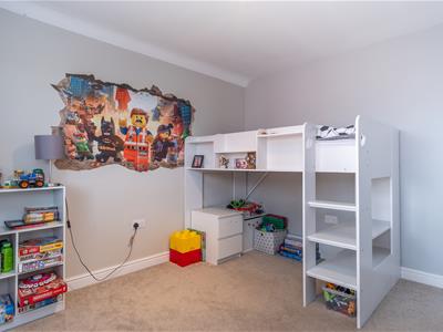 Picture 19